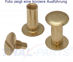 10er Pack Buchschrauben Chicagoschrauben 55mm Kopf 10mm Gold