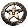 Concho #012 30mm Altsilbern Western Texas Stern Star Conchos Silbern Antik 